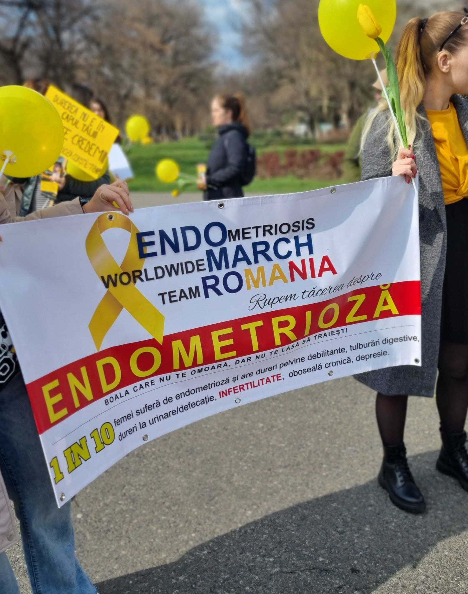 Asociația VoceaEndometriozei